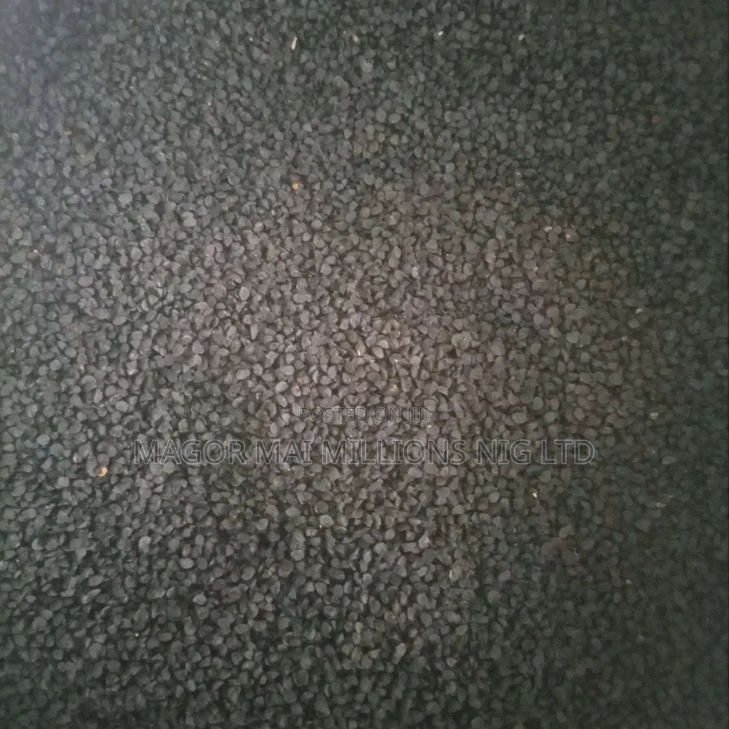High Quality Seeds (Check Description for Prices)
