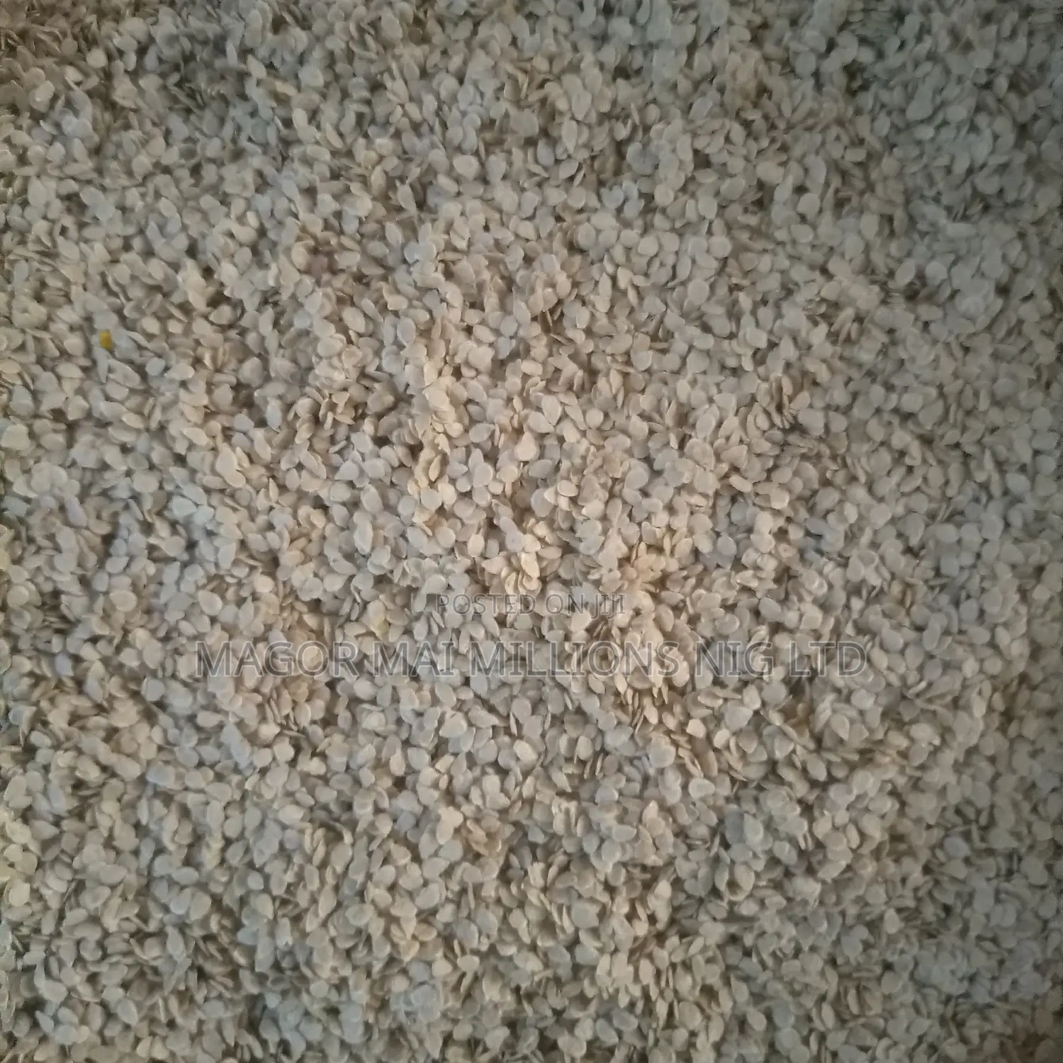 High Quality Seeds (Check Description for Prices)