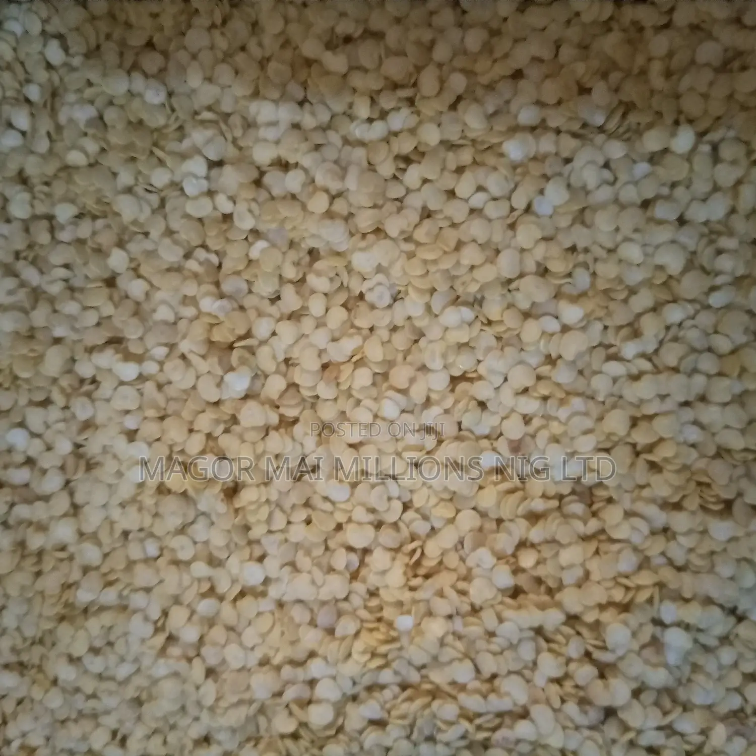 High Quality Seeds (Check Description for Prices)