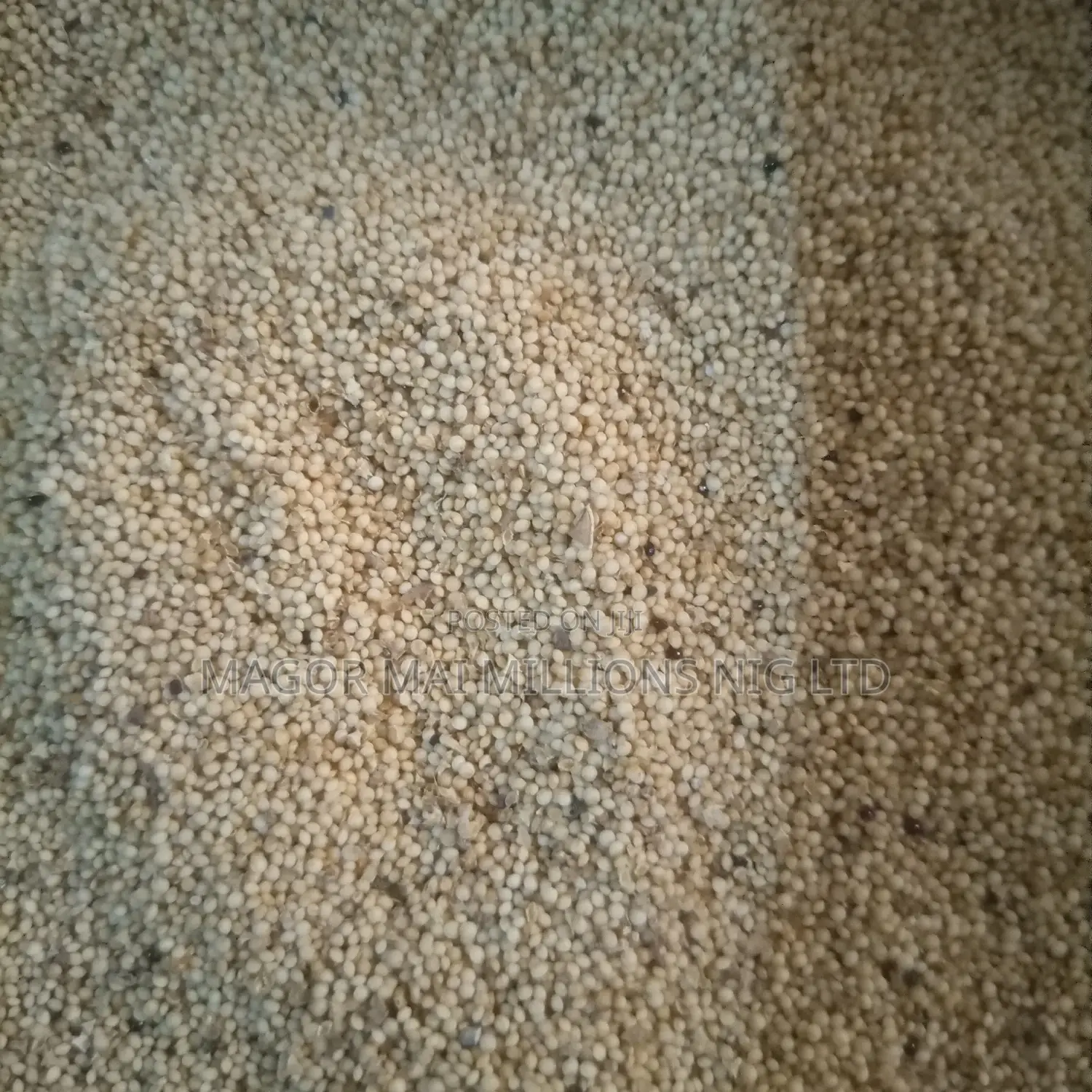 High Quality Seeds (Check Description for Prices)