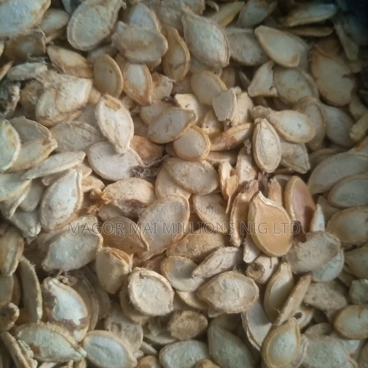 High Quality Seeds (Check Description for Prices)