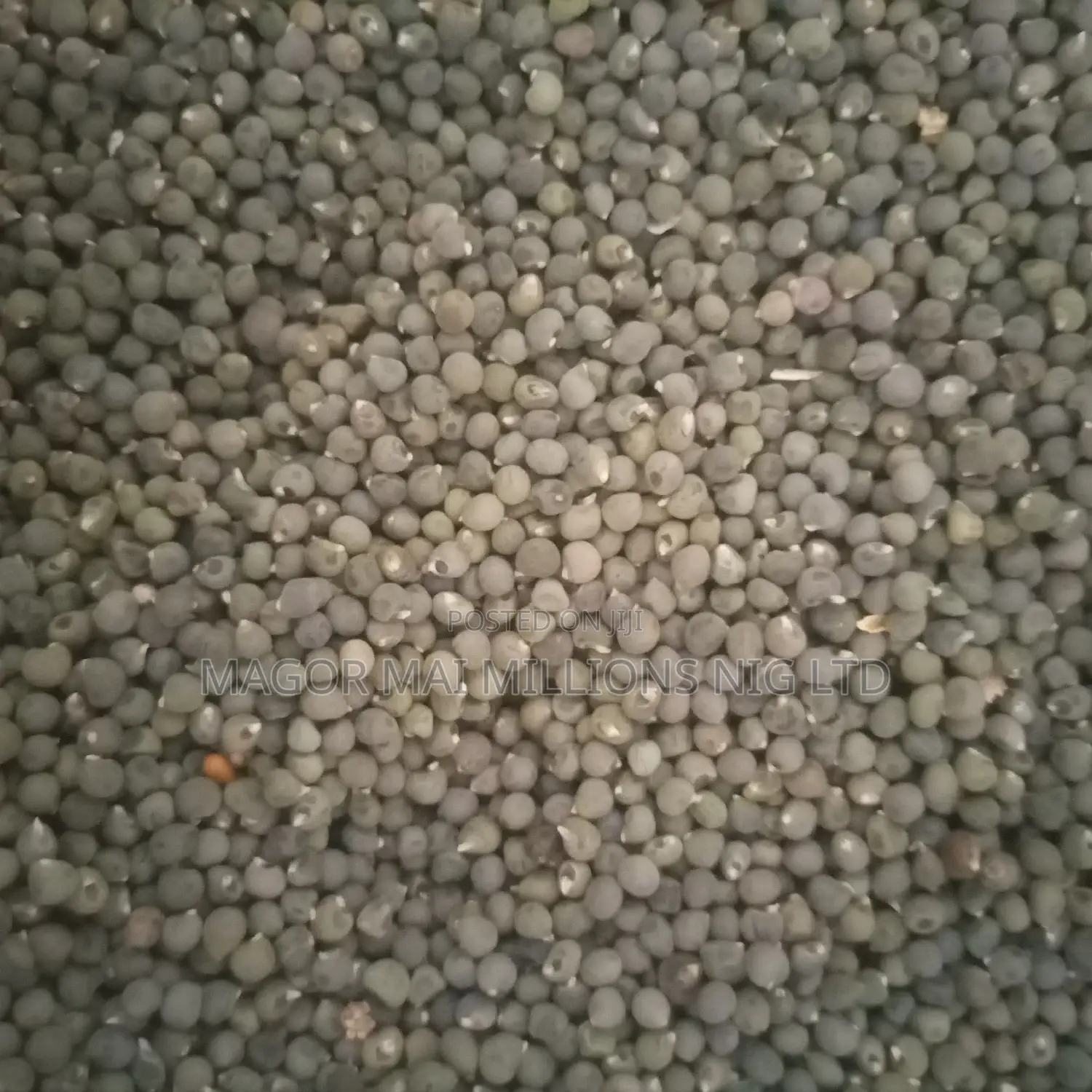 High Quality Seeds (Check Description for Prices)