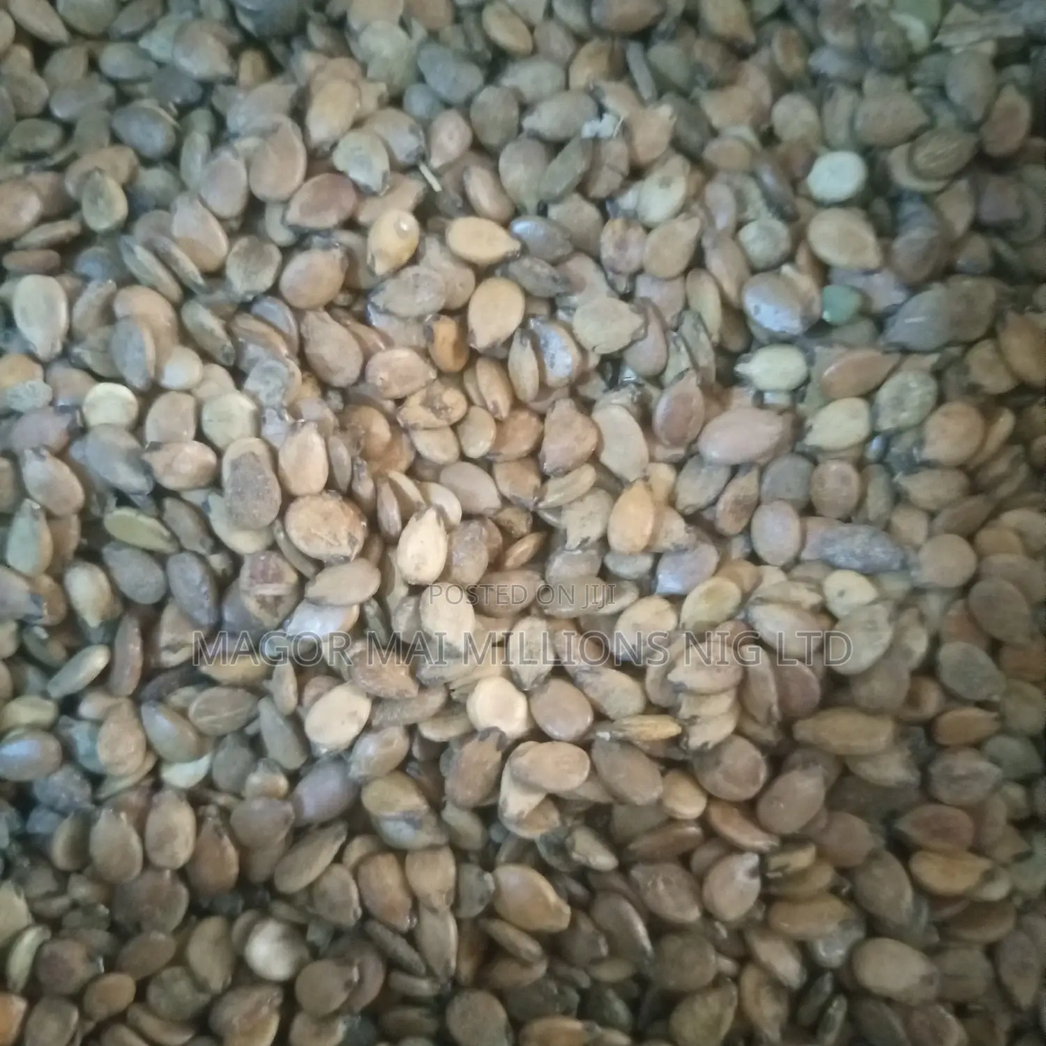 High Quality Seeds (Check Description for Prices)