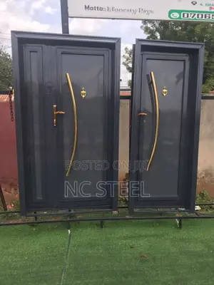 Pair of Reflective Imported Standard Door