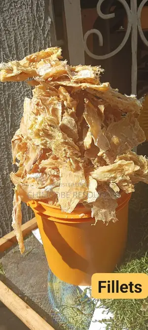 Stockfish Fillets