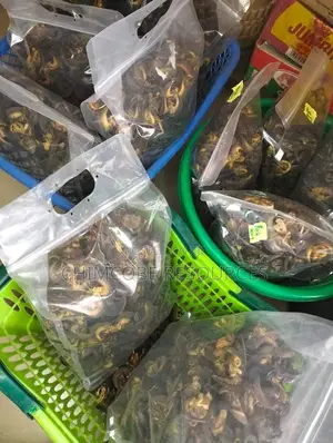 Dehydrated Snails