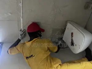 Professional Residential Cleaner