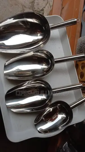 Stainless Ice Scoop