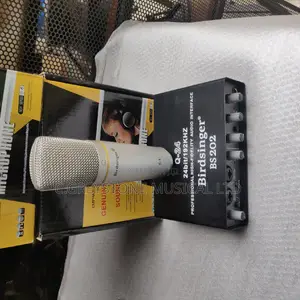 Photo - C-1 and Bs- 202 Birdsinger Studio Set 