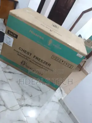Best Deep Chest Freezer - 300L Hisense