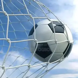 Children Goal Post With Ball