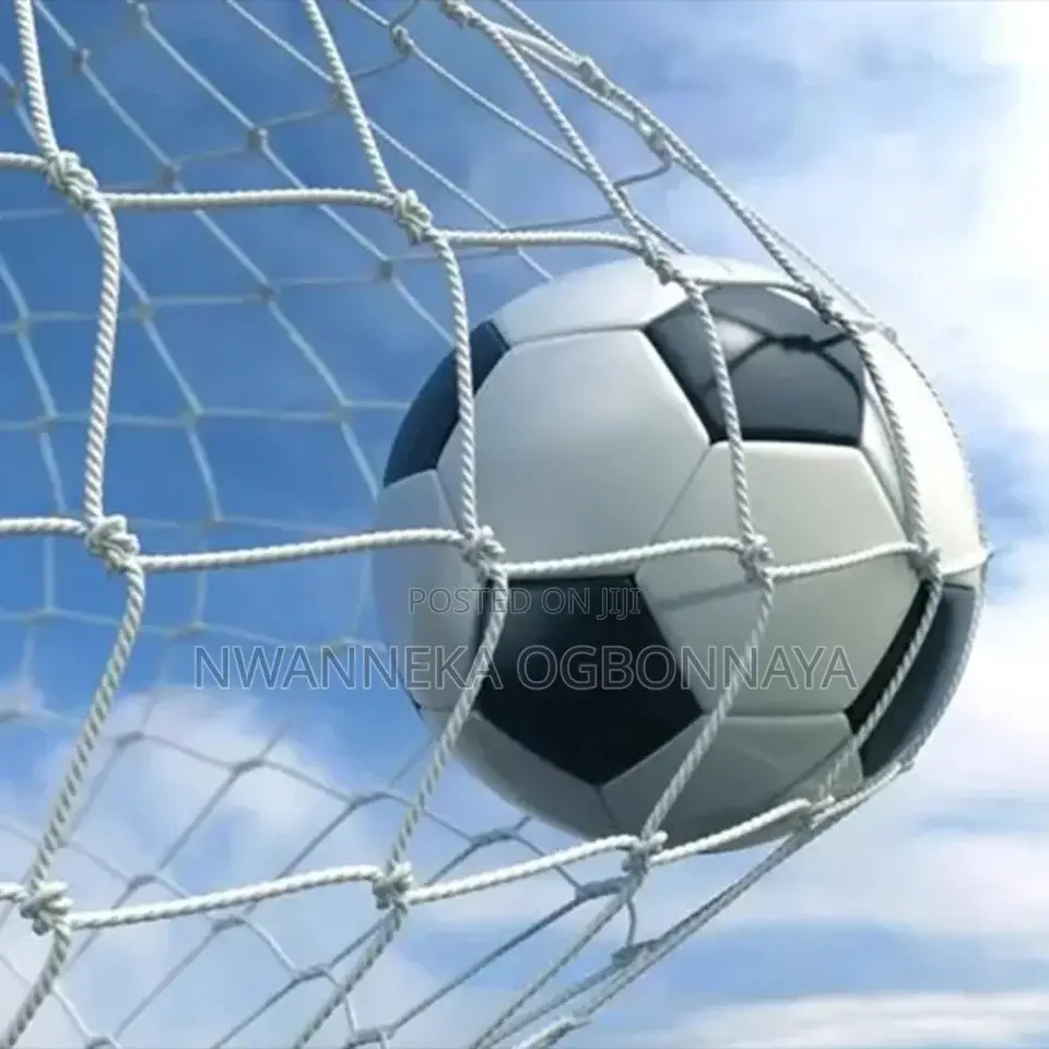 Children Goal Post With Ball