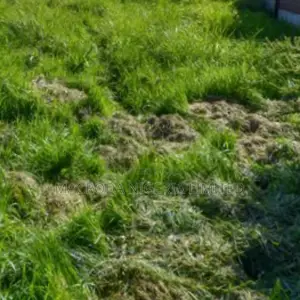 A Large Virgin Expanse of Land for Urgent Sale