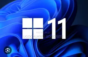 Windows Installation