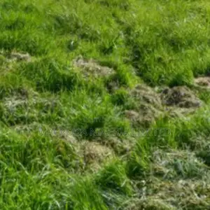 Land Measuring 310sqm With Demolishable Bungalow