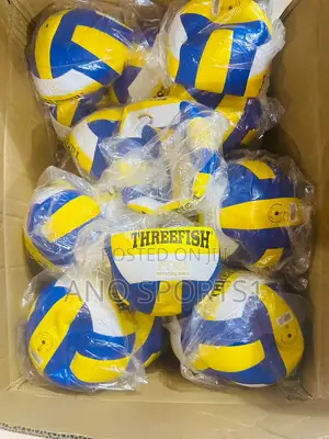Volleyball