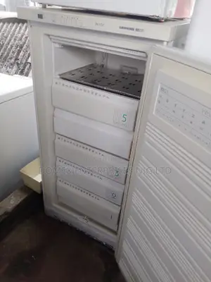 Liebherr Single Door Freezer 5 Steps