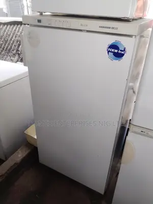Liebherr Standing Freezer for Block