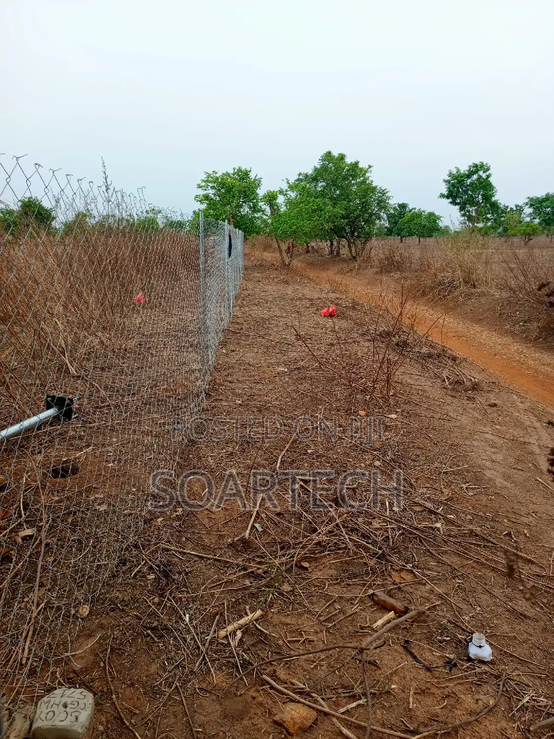 Original Galverninize Chain Link Fencing