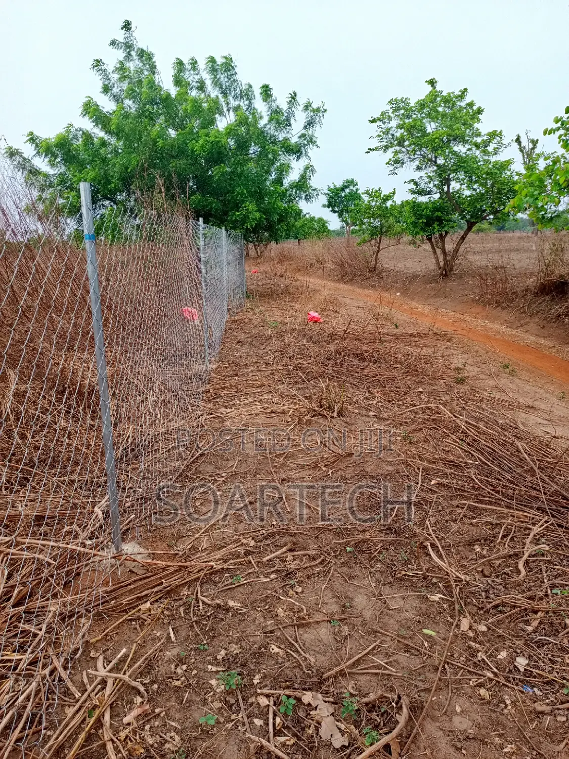 Original Galverninize Chain Link Fencing