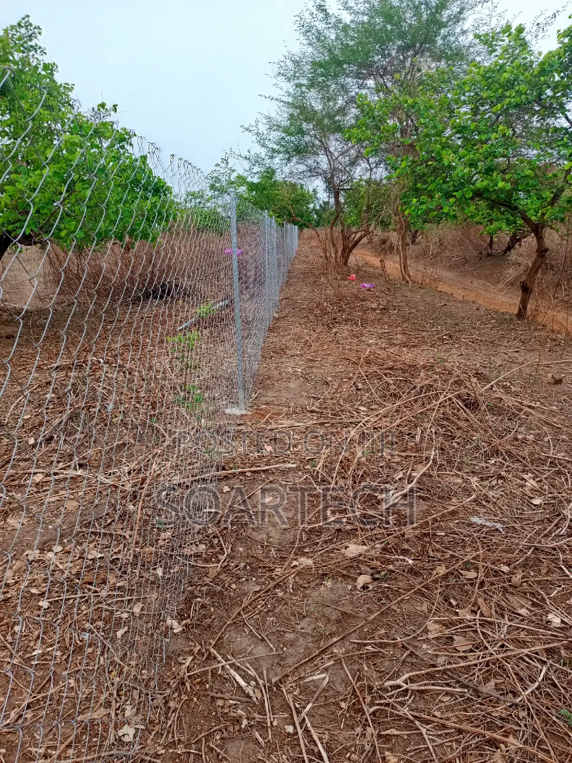 Original Galverninize Chain Link Fencing