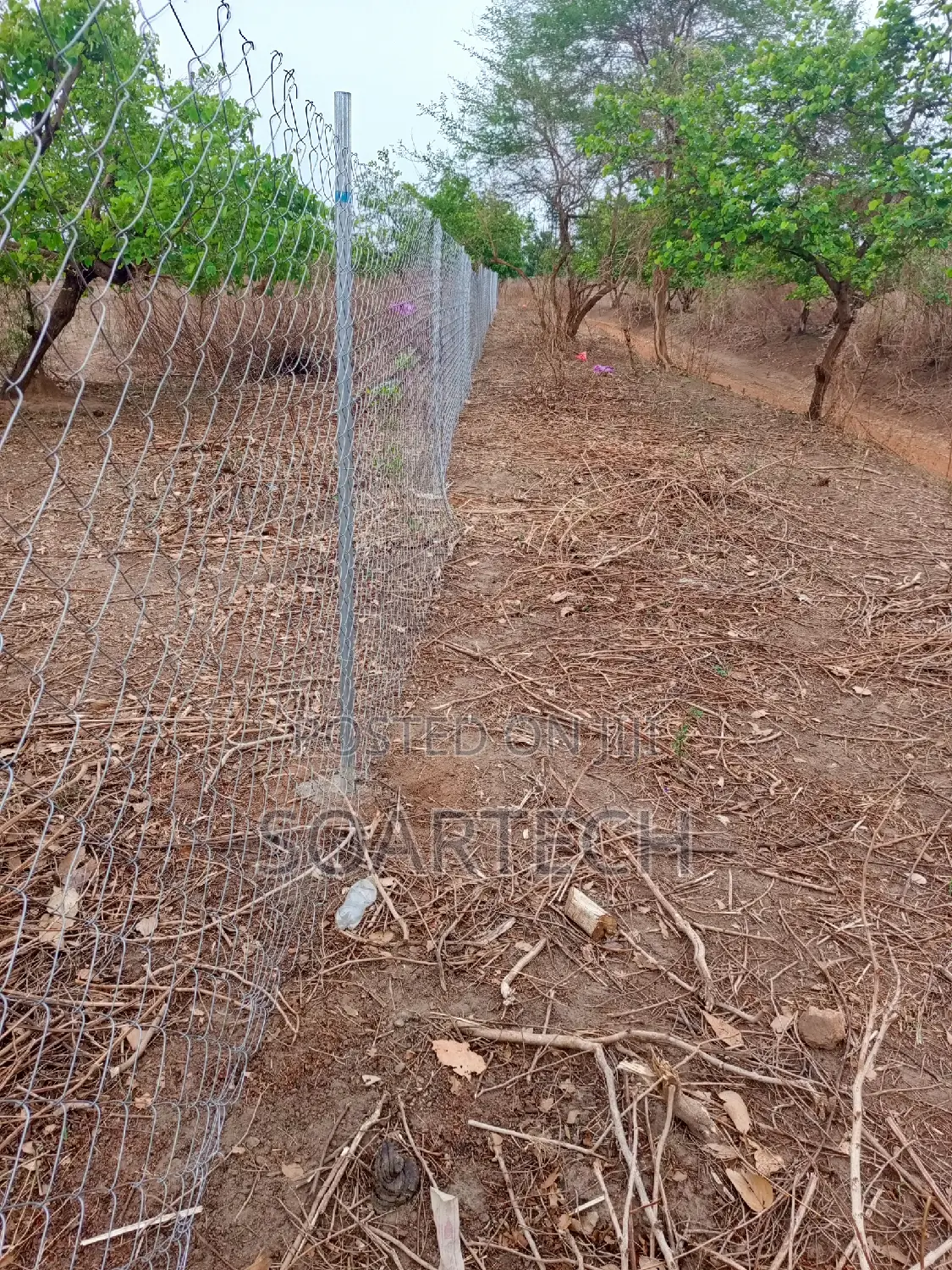 Original Galverninize Chain Link Fencing