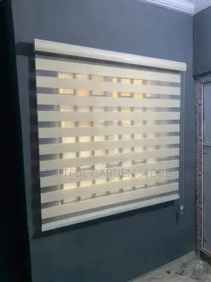 Day and Night Window Blind