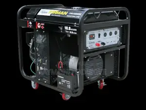 Firman Electric Start Generator FPG15000SE