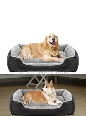 Dog Bed for All Dogs