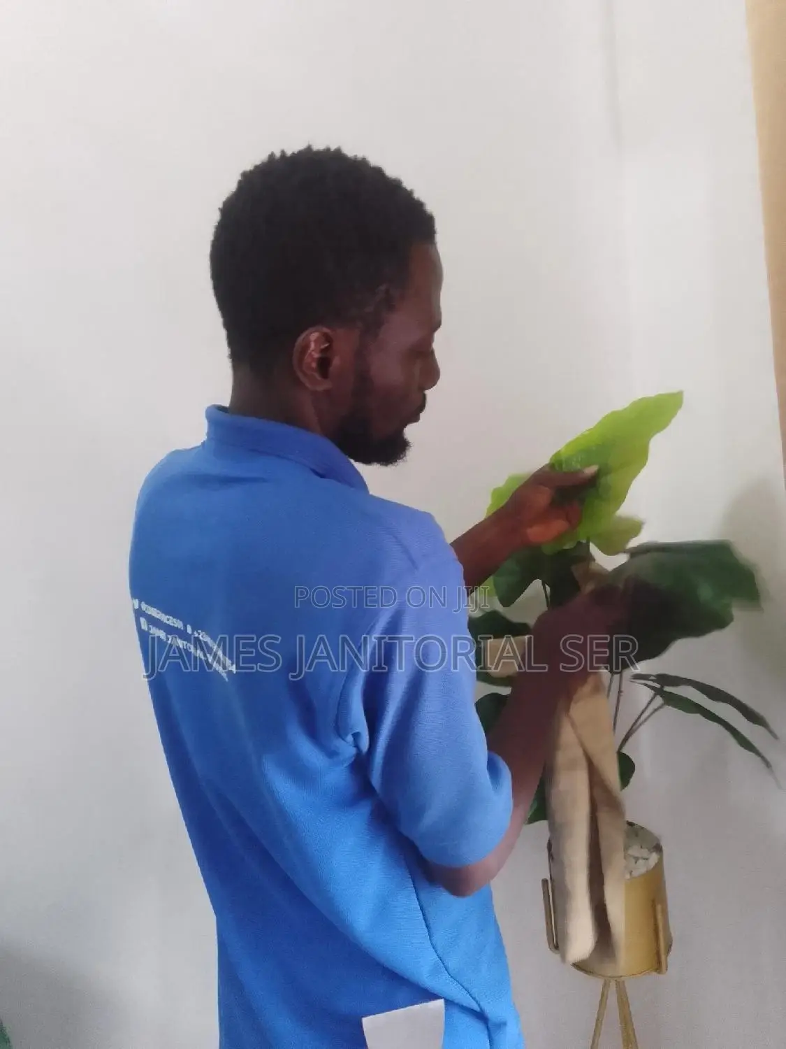 Perfect Touch Cleaning Service