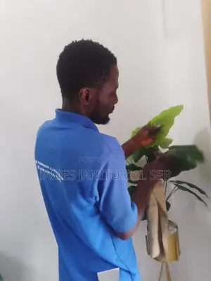 Perfect Touch Cleaning Service