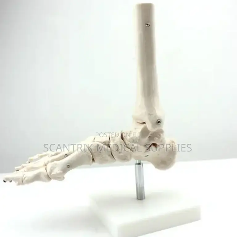 Foot Joint