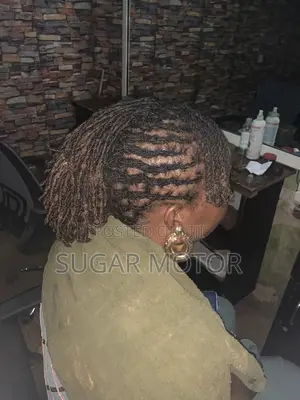 Dreadlock Beautiful Hair