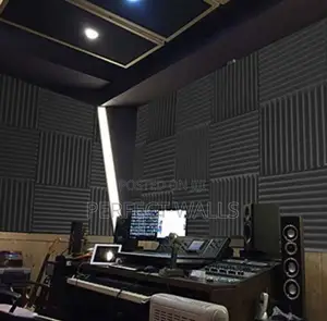 Studio Accustic Foam