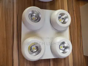 4 Point Decken Light