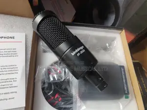 Studio Mic AT 2020 Birdsinger 