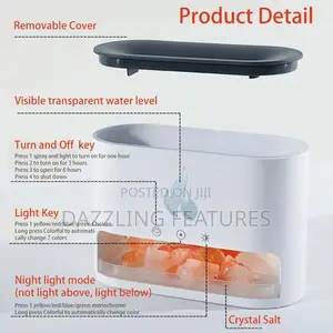 Humidifier and Aroma Diffuser
