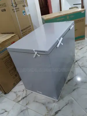 Hisense 297 Litres Chest Freezer (Fc390sh) - Silver