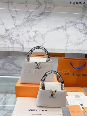 Louis Vuitton Luxury Handbags