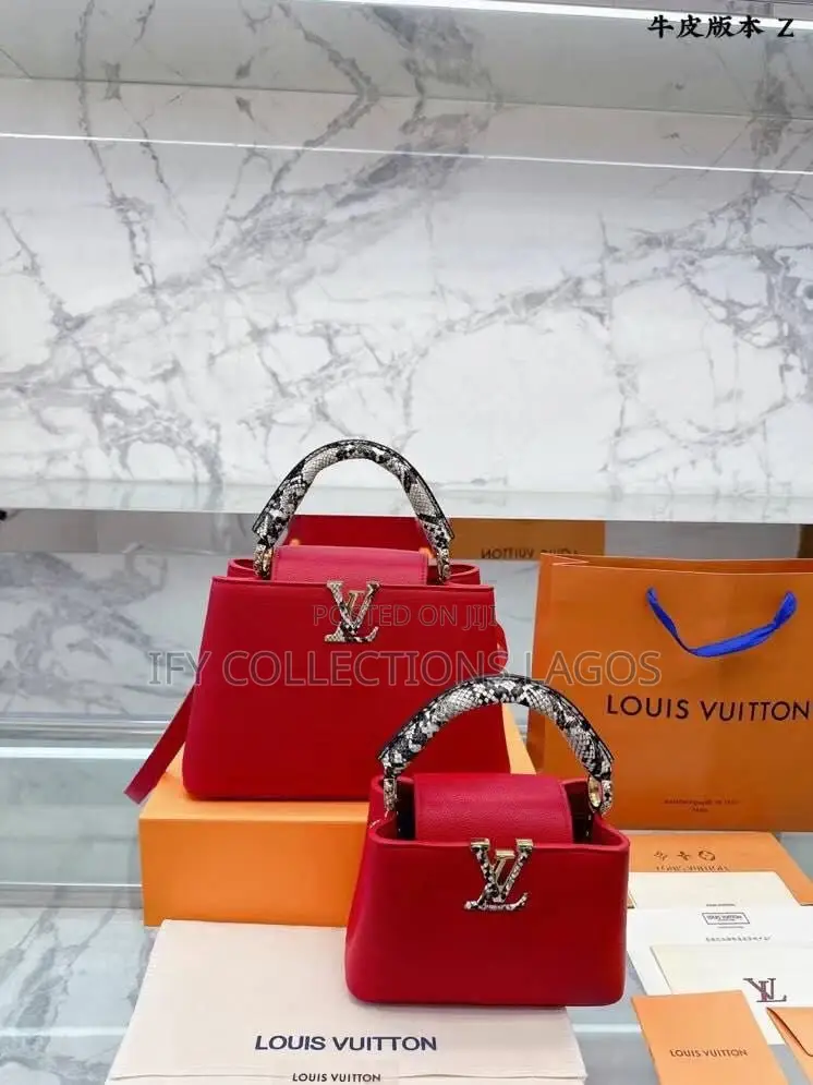 Louis Vuitton Luxury Handbags