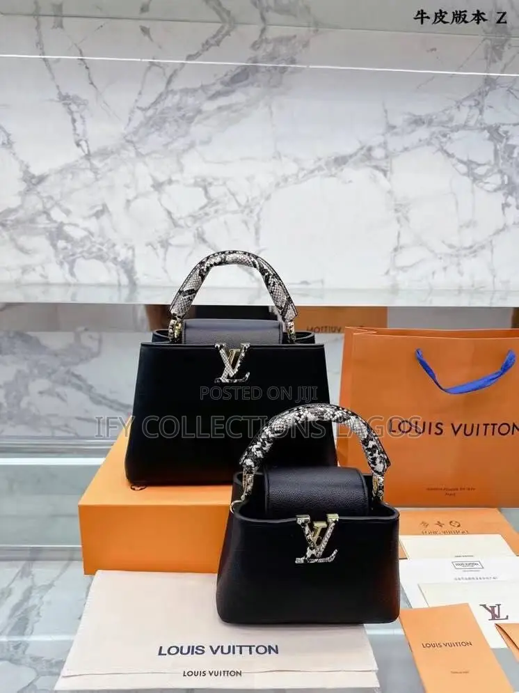 Louis Vuitton Luxury Handbags
