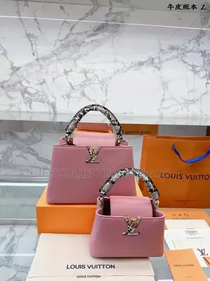 Louis Vuitton Luxury Handbags