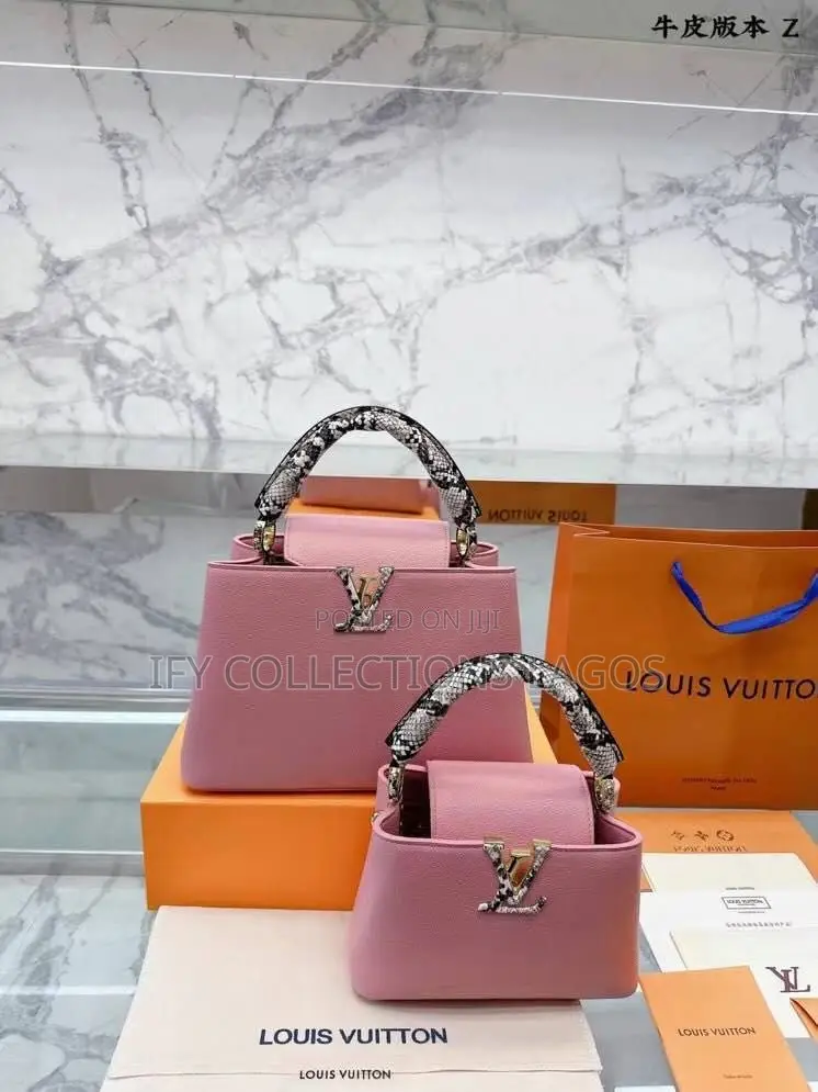 Louis Vuitton Luxury Handbags