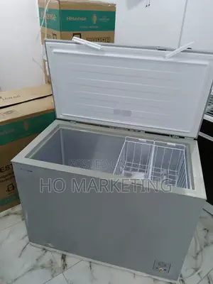 Hisense 297L Single Door Chest Freezer Fc390sh