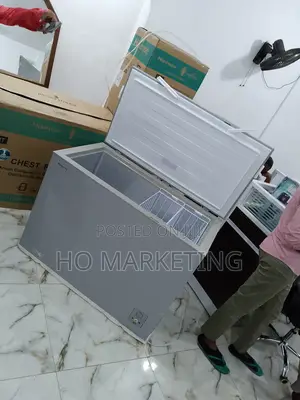 Durable Hisense 297L Deep Chest Freezer Fc390sh