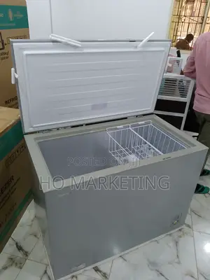 Hisense Fc390sh Deep Chest Freezer 297L (Silver)