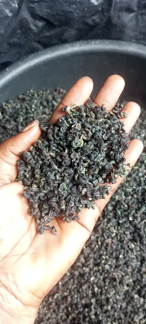 Dried Periwinkles