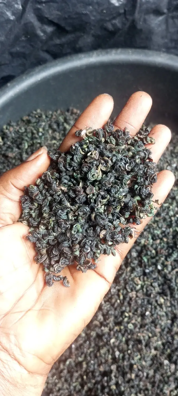 Dried Periwinkles