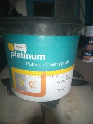 Platinum Ceiling Paint