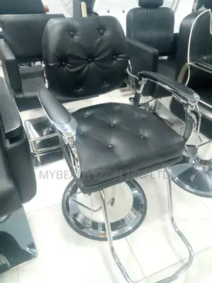 Executive Unisex Salon Chair
